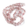 Natural Rose Quartz Beads Strands G-G0003-B05-3
