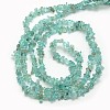 Natural Apatite Chip Beads Strands G-L154-23-3