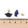 Natural Lapis Lazuli Stud Earrings EJEW-H153-01G-01-3