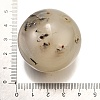 Natural Ocean Jasper Crystal Ball PW-WG29726-01-2