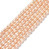 Natural Cultured Freshwater Pearl Beads Strands PEAR-E016-127-1