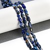 Natural Lapis Lazuli Beads Strands G-P497-01B-14-2