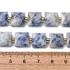 Natural Blue Spot Jasper Beads Strands G-F839-A15-01-3