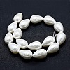 Electroplate Shell Pearl Beads Strands BSHE-G010-12x16mm-01-3