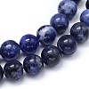 Round Natural Sodalite Beads Strands X-G-F222-39-12mm-2