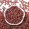 Transparent Colours Glass Seed Beads SEED-R001-01J-3