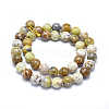 Natural Yellow Opal Beads Strands G-I213-18-10mm-2