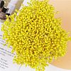 1 Bag Eco-Friendly Matte Gypsum Flower Core FIND-DJ0001-48D-4