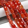 Natural Dragon Veins Agate Beads Strands G-A223-D11-01D-2