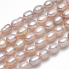 Natural Cultured Freshwater Pearl Beads PEAR-D095-04-4