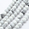 Natural Howlite Beads Strands X-G-F518-22-8mm-1