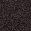 TOHO 11/0 Round Beads SEED-XTR11-0006CF-2