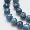 Natural Apatite Beads Strands G-F547-37-10mm-3