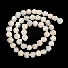 Natural White Moonstone Beads Strands G-C277-A01-8mm-3