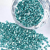 Plated Glass Seed Beads MRMJ-S034-04H-1