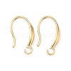 304 Stainless Steel Earring Hooks STAS-Z178-19G-1