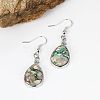 Elegant Brass Shell Teardrop Dangle Earrings DK3266-3