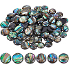 BENECREAT Paua Shell Cabochons SHEL-BC0001-018-1