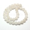 Natural Malaysia Jade Bead Strands G-M101-10mm-09-2