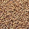 MIYUKI Delica Beads SEED-X0054-DB1152-2