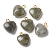 Natural Labradorite Pendants G-E603-01G-08-1