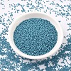 MIYUKI Delica Beads SEED-X0054-DB0798-2