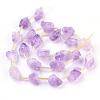 Natural Amethyst Beads Strands G-I250-03B-2