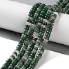 Natural Qinghai Jade Beads Strands G-K343-C31-01-1