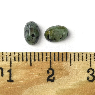 Natural African Turquoise(Jasper) Cabochons G-A094-01A-03-1