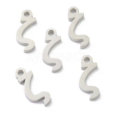 Non-Tarnish 304 Stainless Steel Charms STAS-G244-01Z-1
