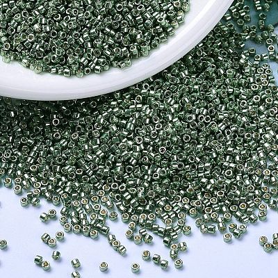 MIYUKI Delica Beads X-SEED-J020-DB1845-1
