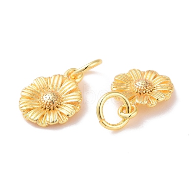 Brass Charms KK-G418-28G-1