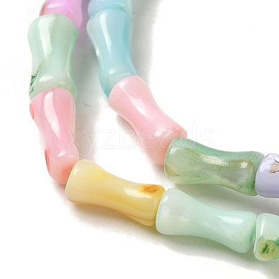 Rainbow Color Dyed Natural Freshwater Shell Beads Strands X1-SHEL-G018-02C-1