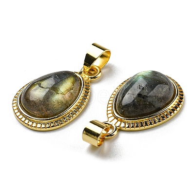 Natural Labradorite Pendants G-M405-05G-1