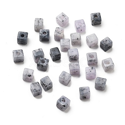 Transparent Acrylic Beads OACR-H044-04A-06-1