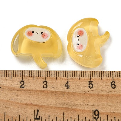 Ice Ocean Theme Opaque Resin Cabochons CRES-D040-02G-1