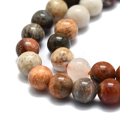 Natural Fossil Coral Beads Strands G-E576-03A-1