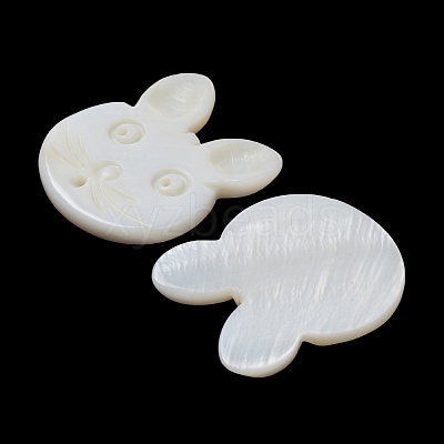 Natural Freshwater Shell Beads BSHE-P033-12-1