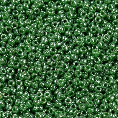 MIYUKI Round Rocailles Beads SEED-G009-RR0431-1