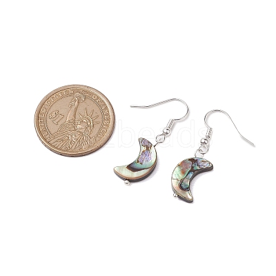Natural Abalone Shell/Paua Shell Dangle Earring EJEW-JE05916-02-1