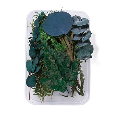 Dried Flowers DIY-D052-03-1