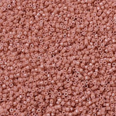 MIYUKI Delica Beads X-SEED-J020-DB1363-1
