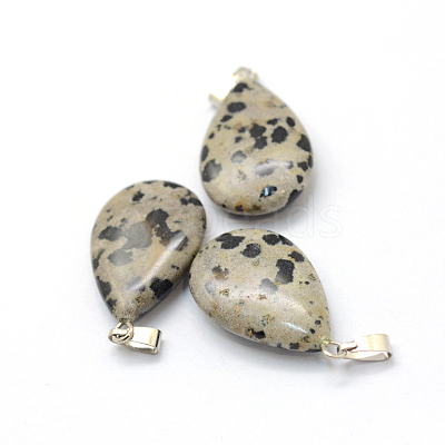 Teardrop Natural Dalmatian Jasper Pendants G-Q368-23-1