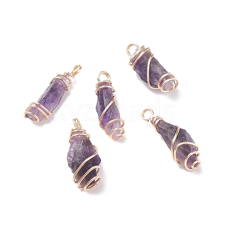 Rough Natural Amethyst Pendants PALLOY-JF01443-01-1