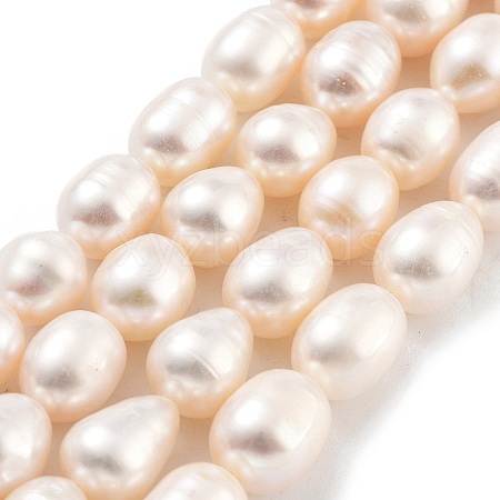Natural Cultured Freshwater Pearl Beads Strands PEAR-P062-14D-1