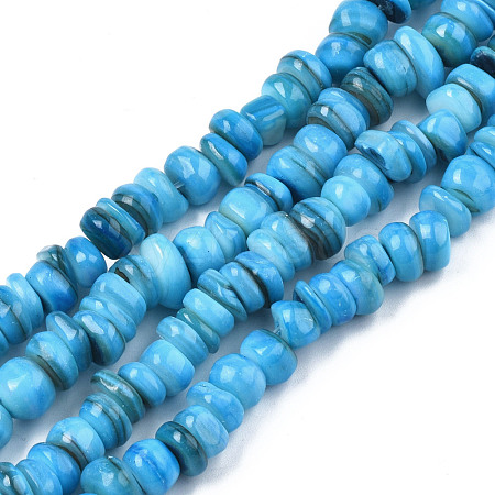 Natural Trochid Shell/Trochus Shell Beads Strands SHEL-S258-081-B04-1