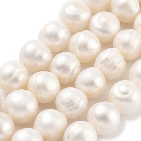 Natural Cultured Freshwater Pearl Beads Strands PEAR-C003-21C-1