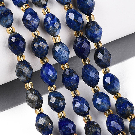 Natural Lapis Lazuli Beads Strands G-N342-53-8x6-10-1