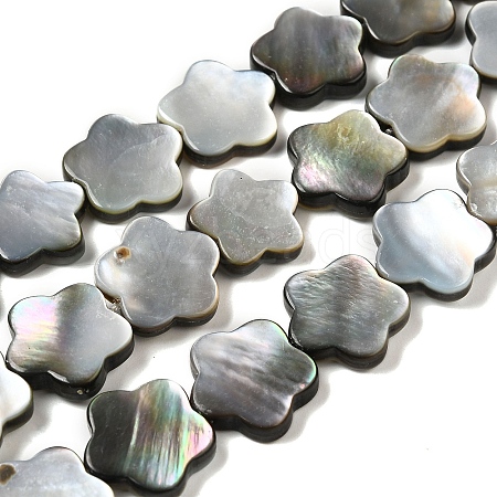 Natural Black Lip Shell Beads Strands SHEL-M021-02B-1