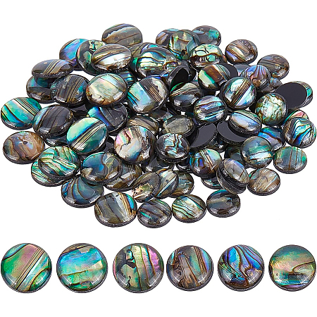 BENECREAT Paua Shell Cabochons SHEL-BC0001-018-1